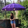 parasol purple haze1